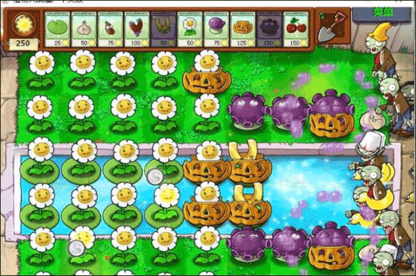 植物大战僵尸1原版