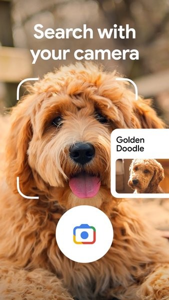 Google谷歌搜索截图3