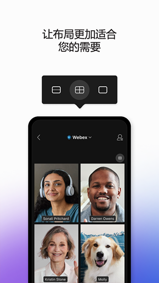 Webex会议截图1