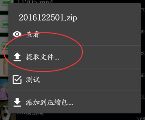 老外管理器ZArchiver