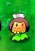 植物大战僵尸火影忍者版