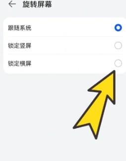 BOBO浏览器无国界黑色版
