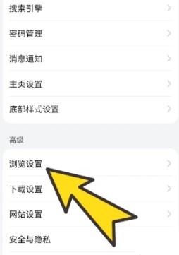 BOBO浏览器无国界黑色版