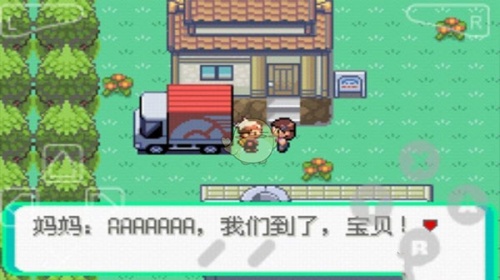 口袋妖怪漆黑的魅影截图2