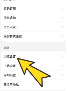BoBo浏览器全球通黑色版