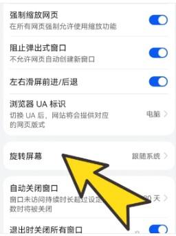 BoBo浏览器全球通黑色版
