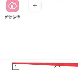 绿叶浏览器