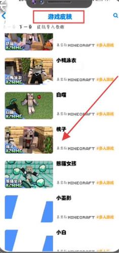 我的世界饼盒