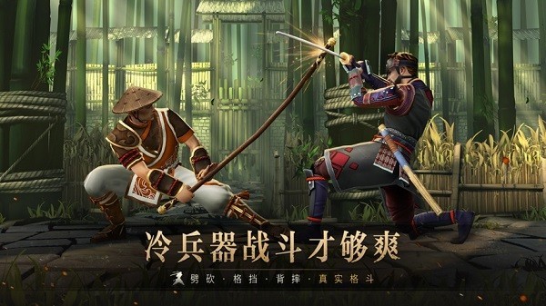 暗影格斗3官方正版截图2