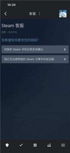 Steam中文手机版