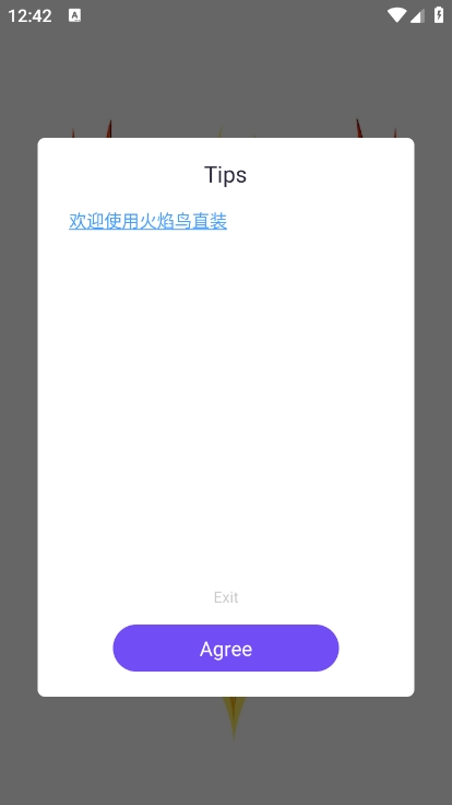 火焰鸟直装