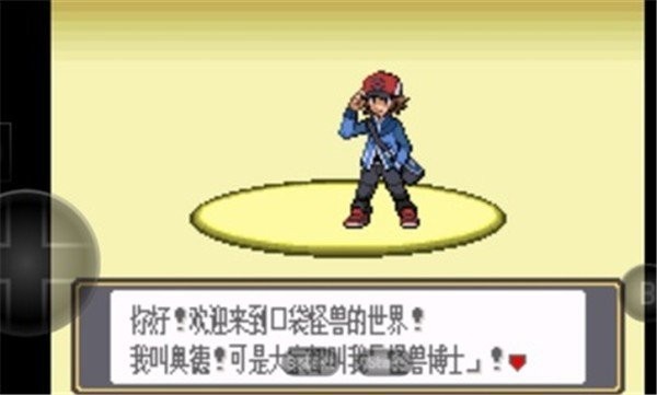 口袋妖怪黑白中文版截图1