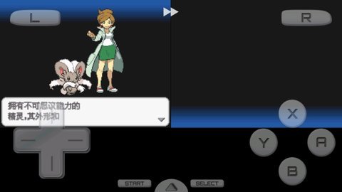 口袋妖怪黑白中文版