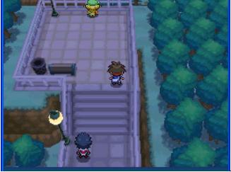 口袋妖怪黑白中文版