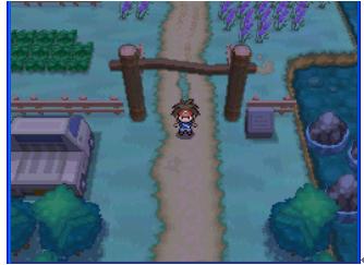 口袋妖怪黑白中文版