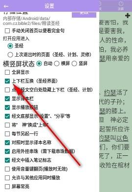 精读圣经全书