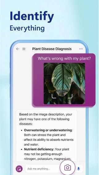 Bing必应国际版截图0