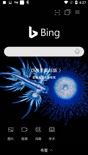 Bing必应国际版