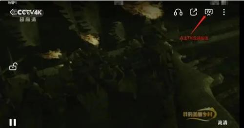 紫电视频纯净版