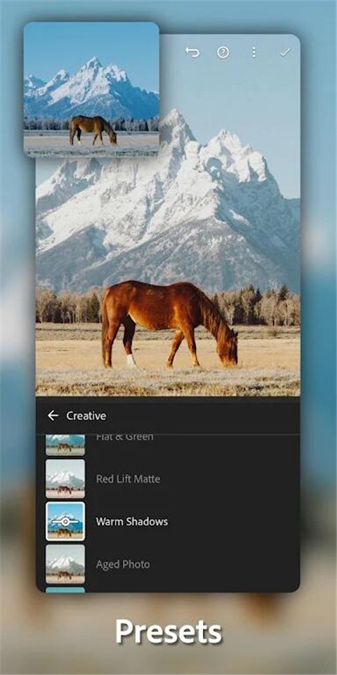 Lightroom最新版截图3