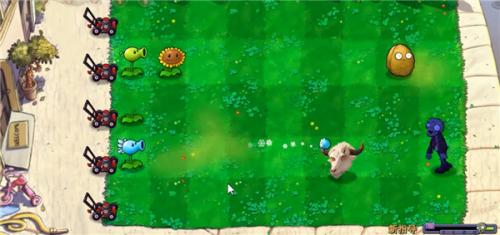 植物大战僵尸新指导版