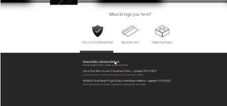使命召唤19自制版