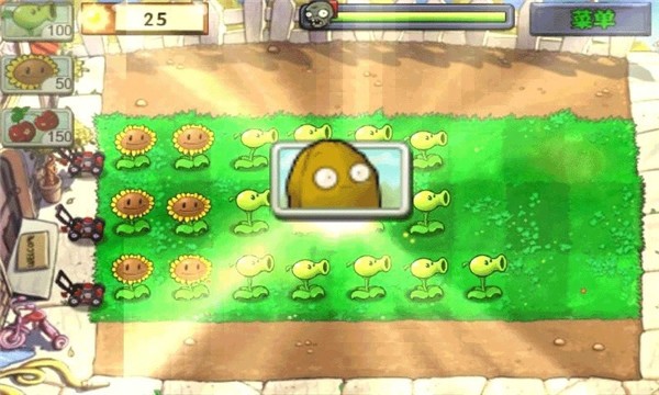 植物大战僵尸原版截图2