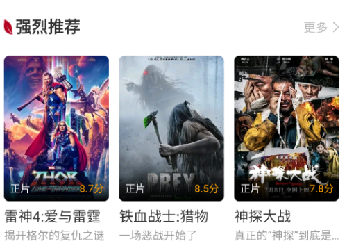 红叶影评最新版