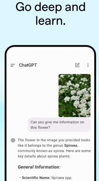 ChatGPT安卓版截图3