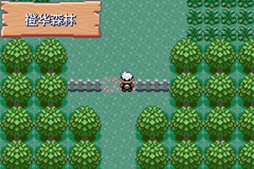 口袋妖怪火红GBA版