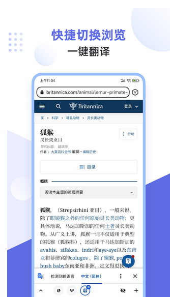 狐猴浏览器截图1