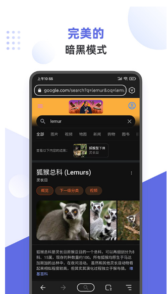狐猴浏览器截图2