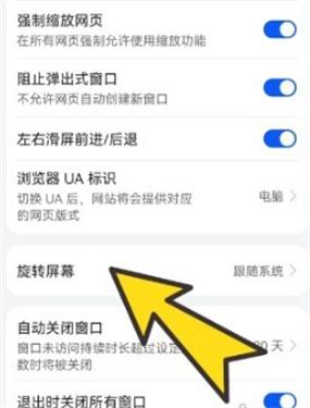 BOBO浏览器黑色版