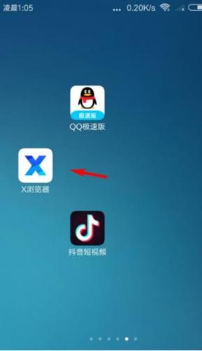 X浏览器谷歌版