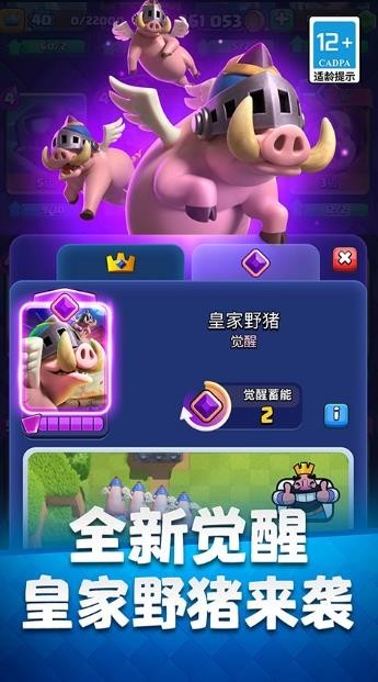 皇室战争私人服截图4