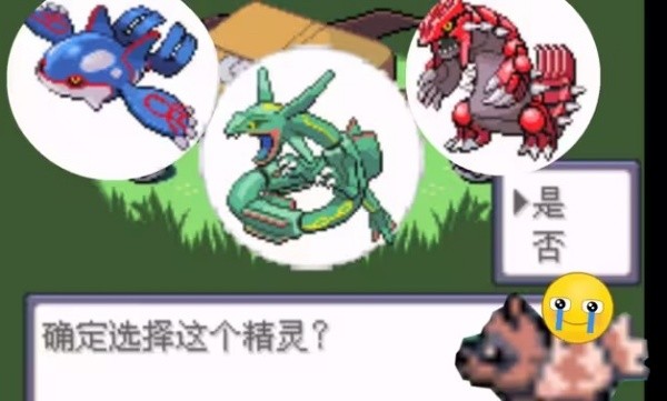 口袋妖怪光之魄截图3