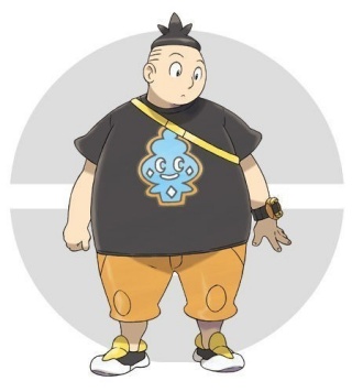 口袋妖怪xy汉化手机版