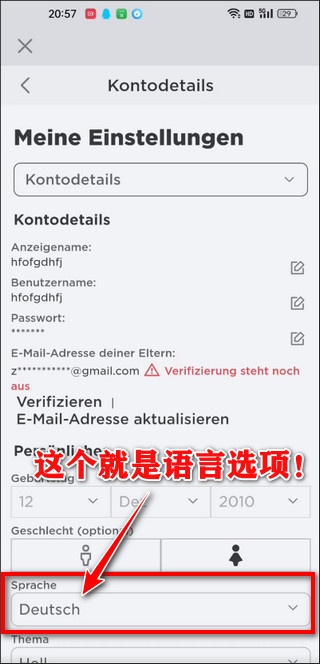 罗布乐思手机版