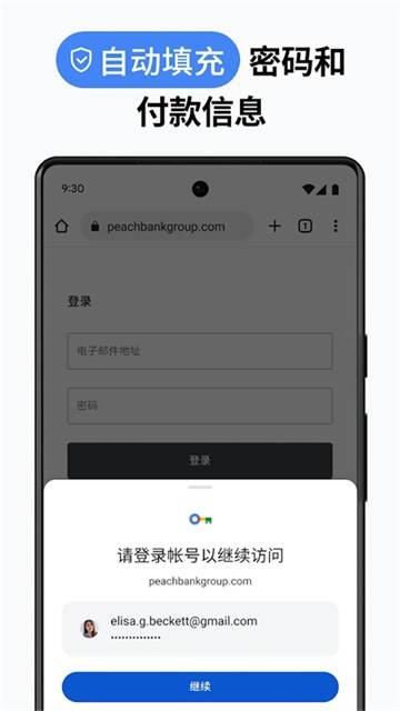 Chrome浏览器截图1