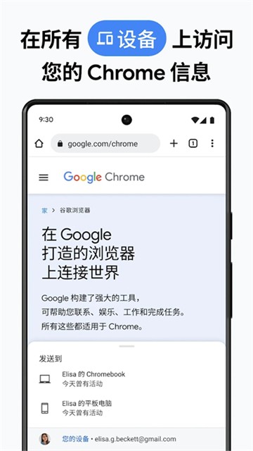 Chrome浏览器截图2