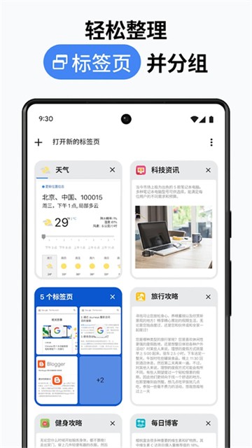Chrome浏览器截图3