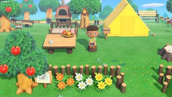 动物之森(pocketcamp)
