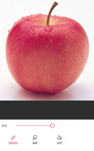 美图秀秀国际版