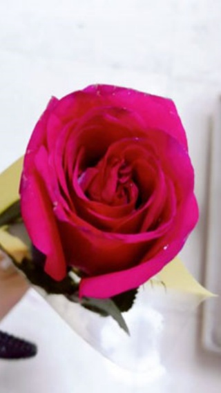 美图秀秀国际版