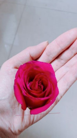 美图秀秀国际版