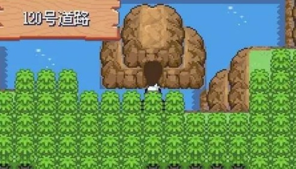 口袋妖怪漆黑的魅影5.0汉化版