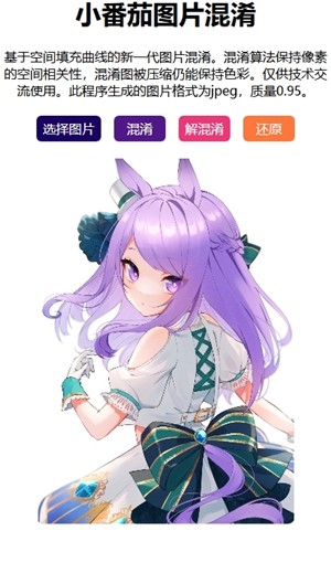 小番茄图片混淆工具截图2