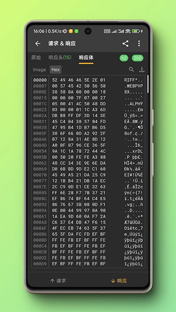 小黄鸟抓包截图2