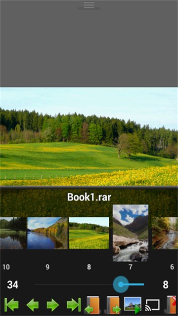 Perfectviewer捐赠版截图0