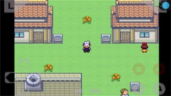 口袋妖怪绿宝石386版截图3